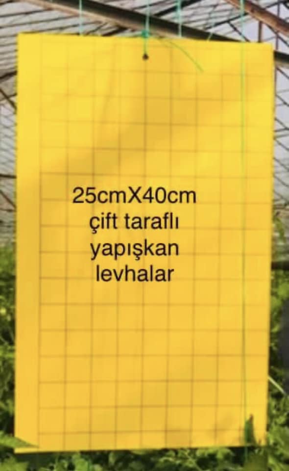 25X40 SİNEK YAPIŞKAN BANT